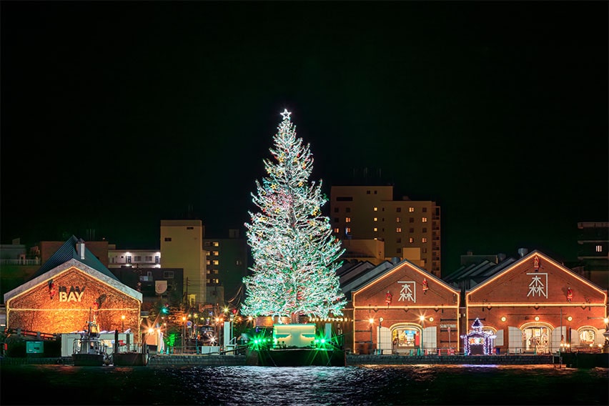 函館:巨大クリスマスツリー