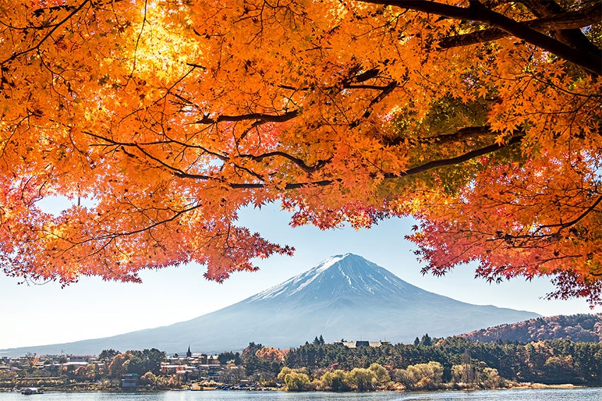 河口湖:紅葉と富士山