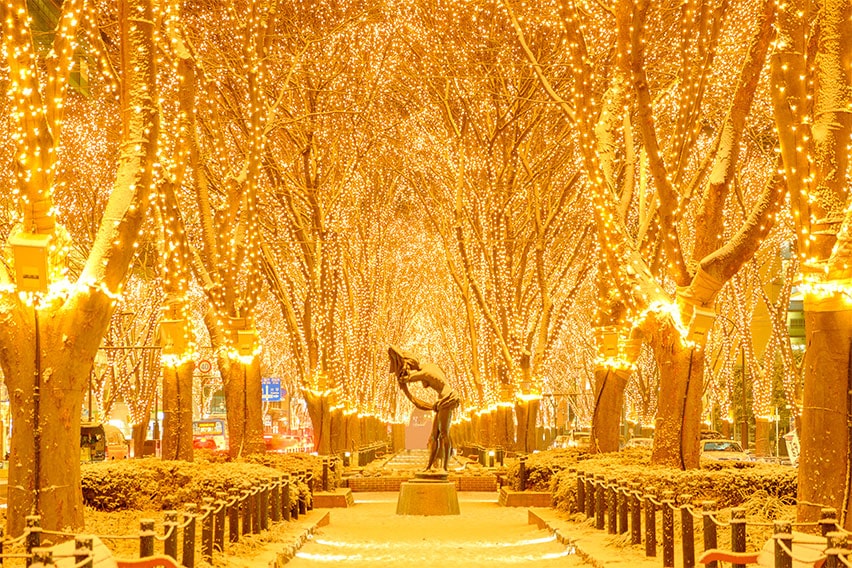 仙台:光のページェント