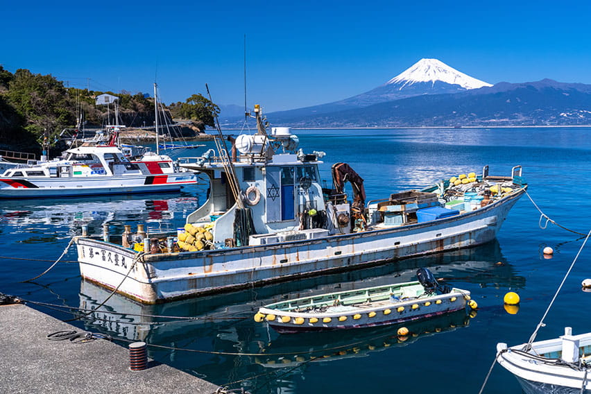 静岡：伊豆