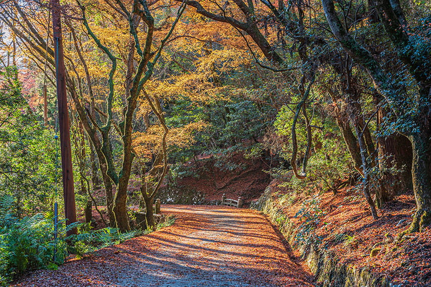 春日山（奈良）
