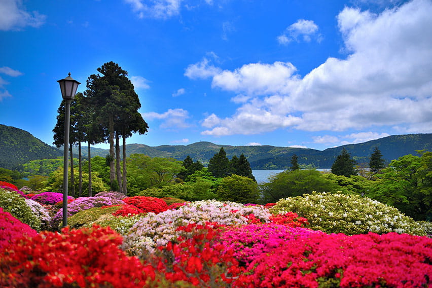 箱根（神奈川）
