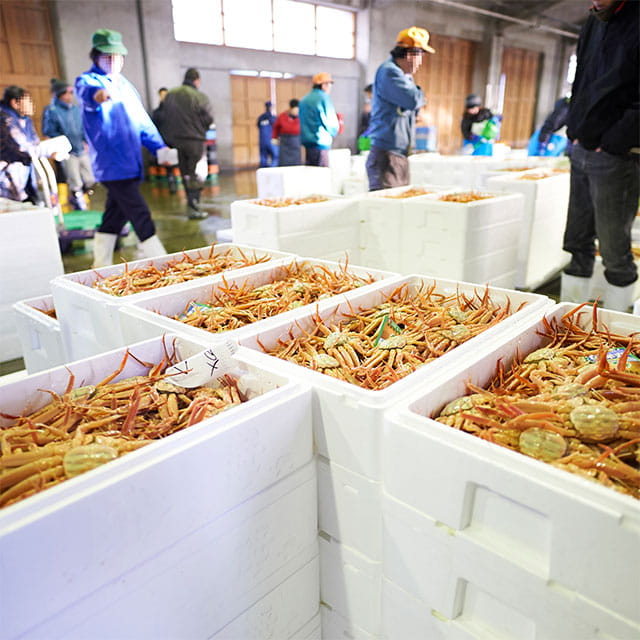 市場訪問・ストリートフード散策