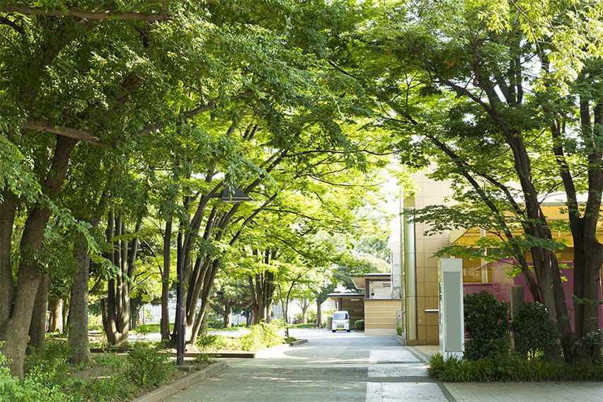 東京：上野の森美術館