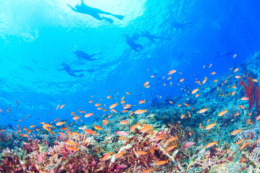 シュノーケル（沖縄）