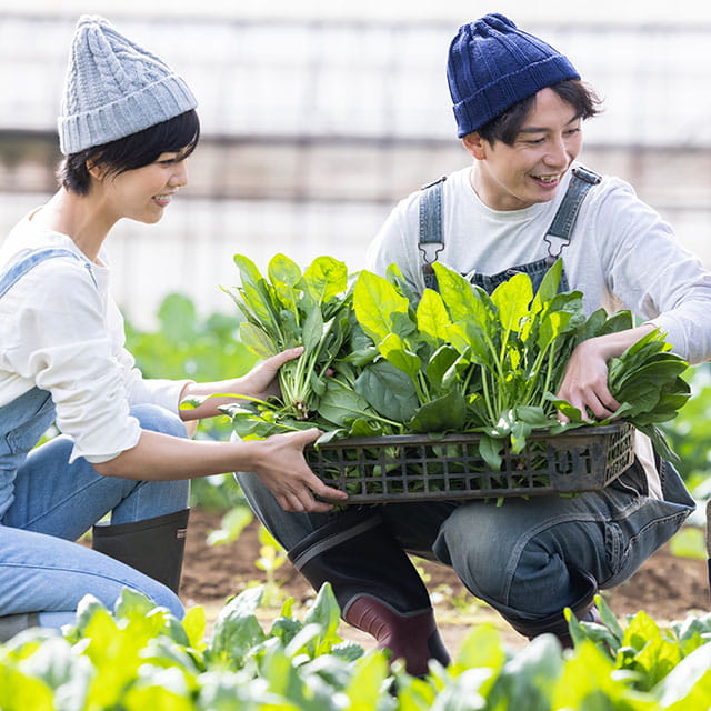 季節の農作業体験