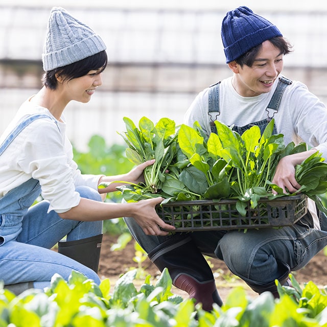 季節の農作業体験