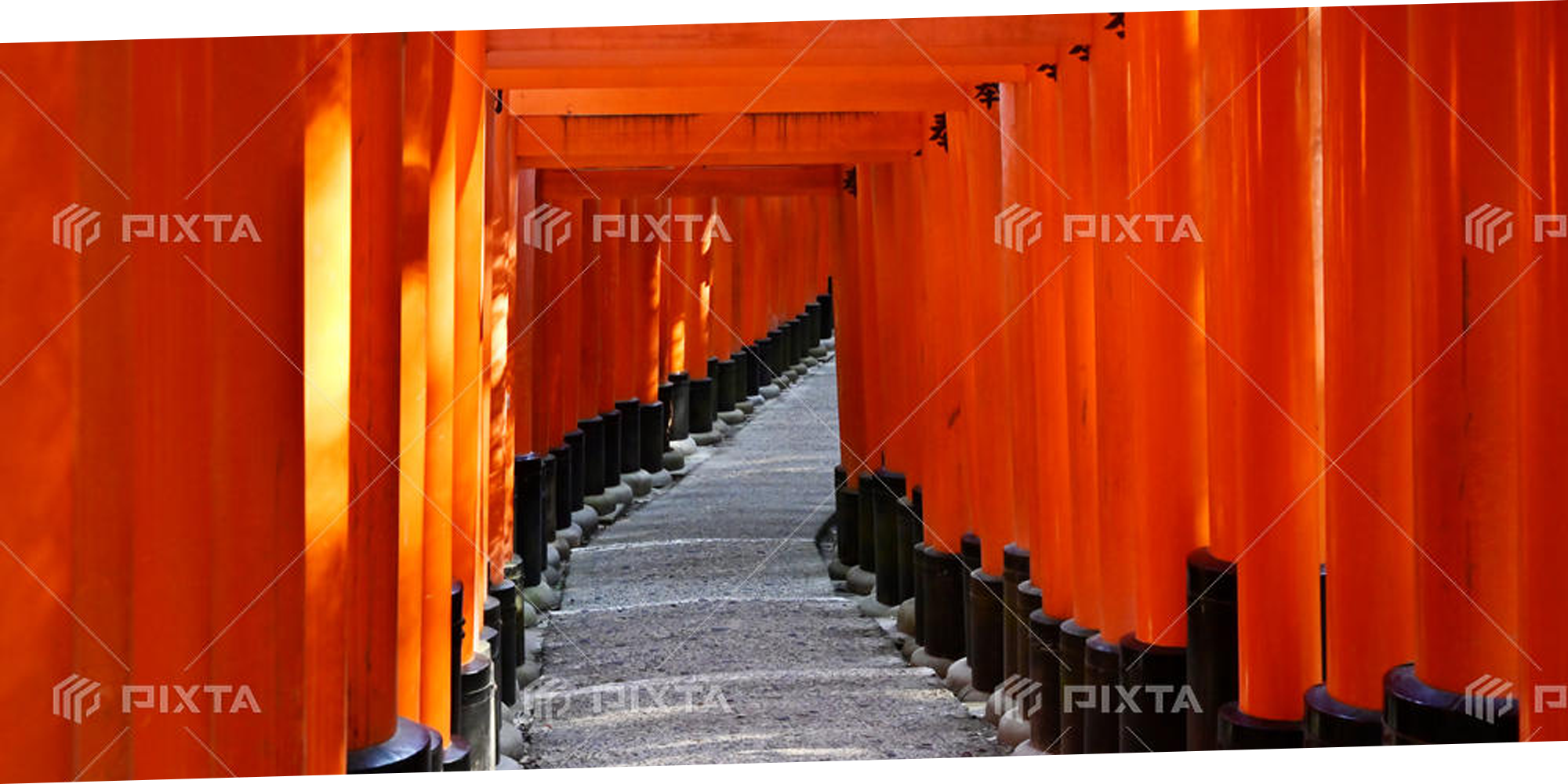 伏見稲荷大社：千本鳥居