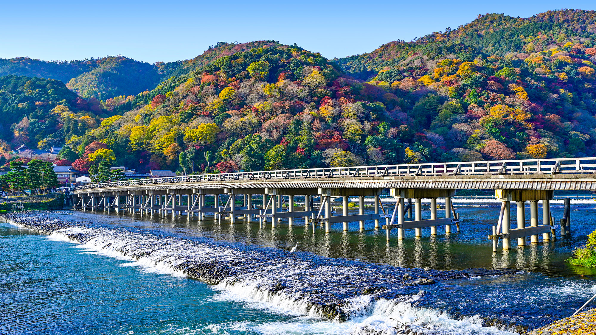 【日本を発見】象徴的なランドマークから隠れた名所まで（11泊12日）