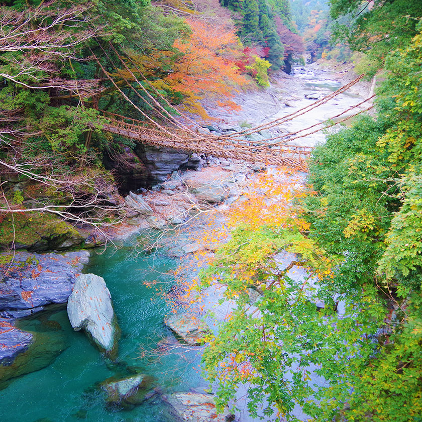 徳島→<br>脇町（1時間30分）脇町→<br>祖谷渓（1時間30分）