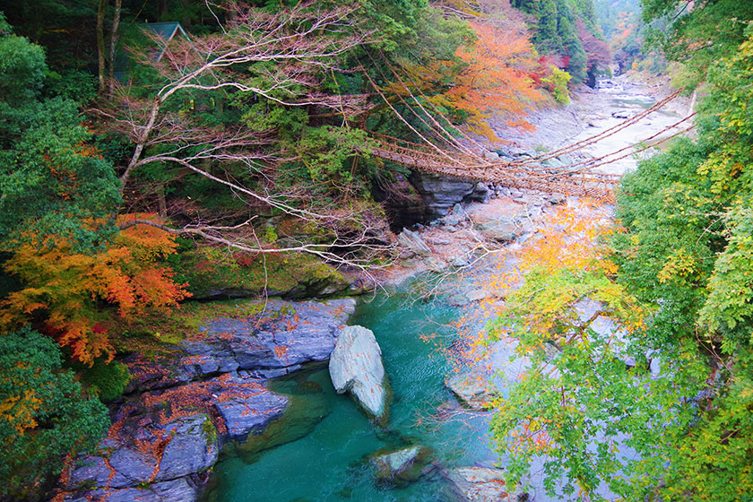 徳島→<br>脇町（1時間30分）脇町→<br>祖谷渓（1時間30分）