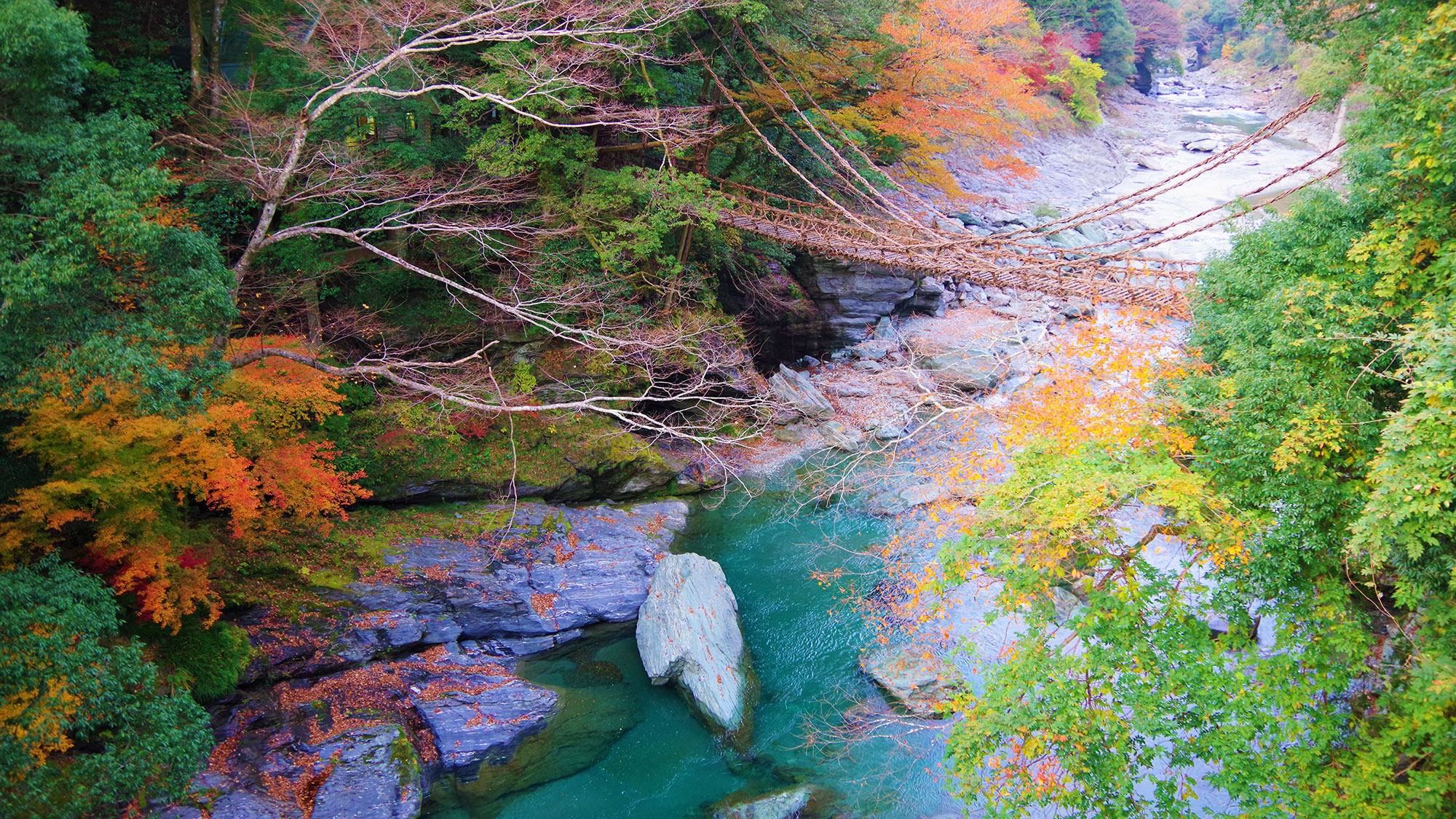 【瀬戸内と四国を巡る旅】芸術・文化・隠れた渓谷