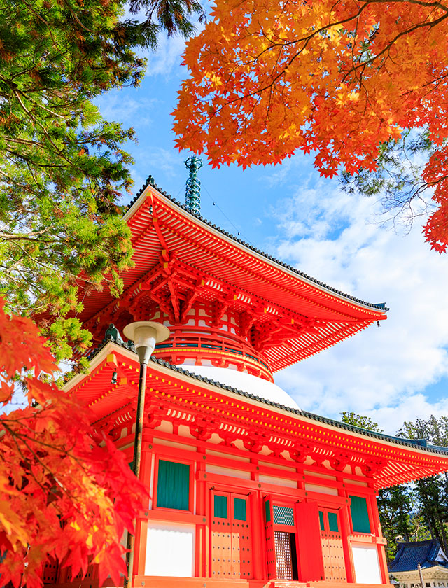 【高野山と熊野古道の聖なる旅】紀伊山地の巡礼路