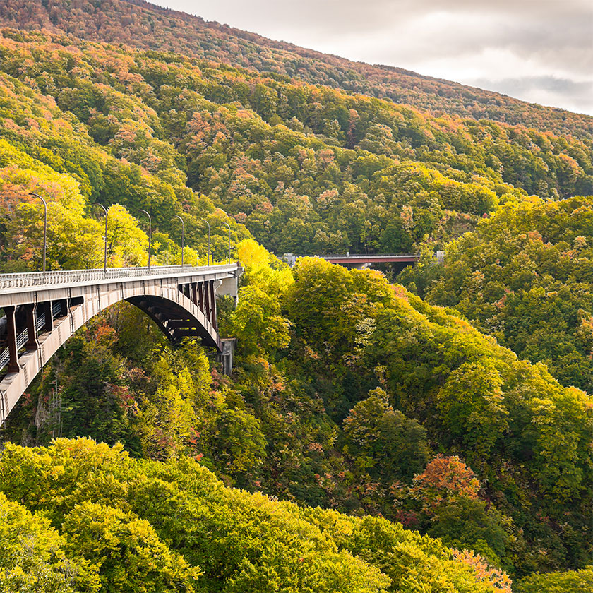 十和田→<br>八幡平（専用車で2時間）