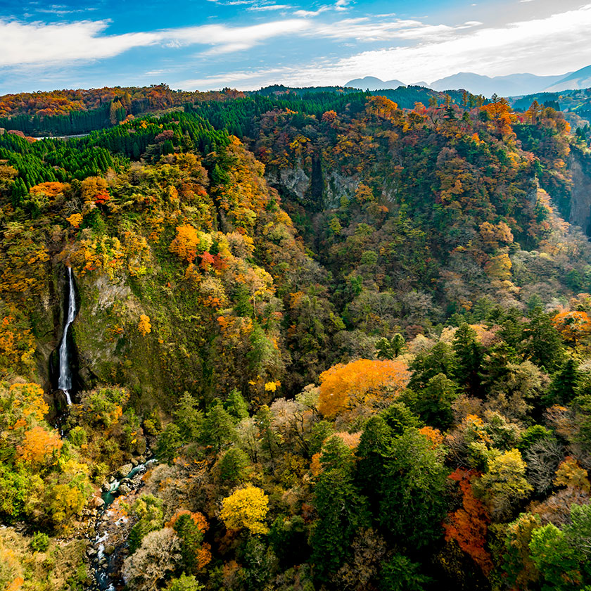 角館→<br>平泉（2.5時間）→<br>鳴子（1.5時間）