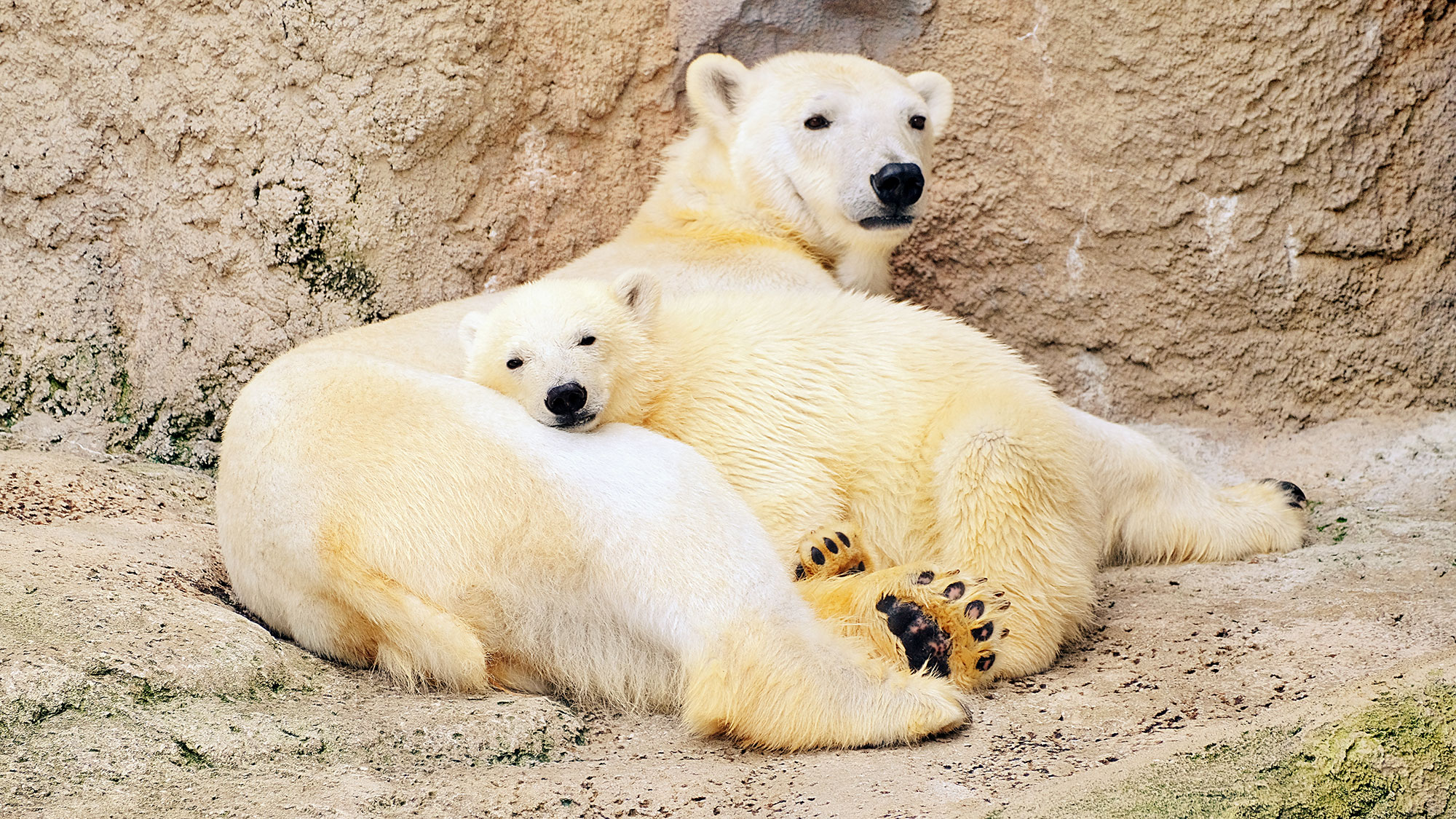 【時代を超えた北海道】五感で味わう手つかずの自然（9泊10日）