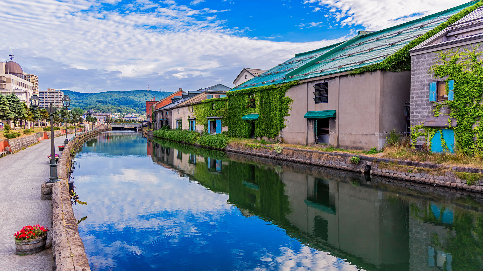 【北海道の西の驚異】洗練された札幌から海岸の絶景、山間の隠れ家まで 7日間