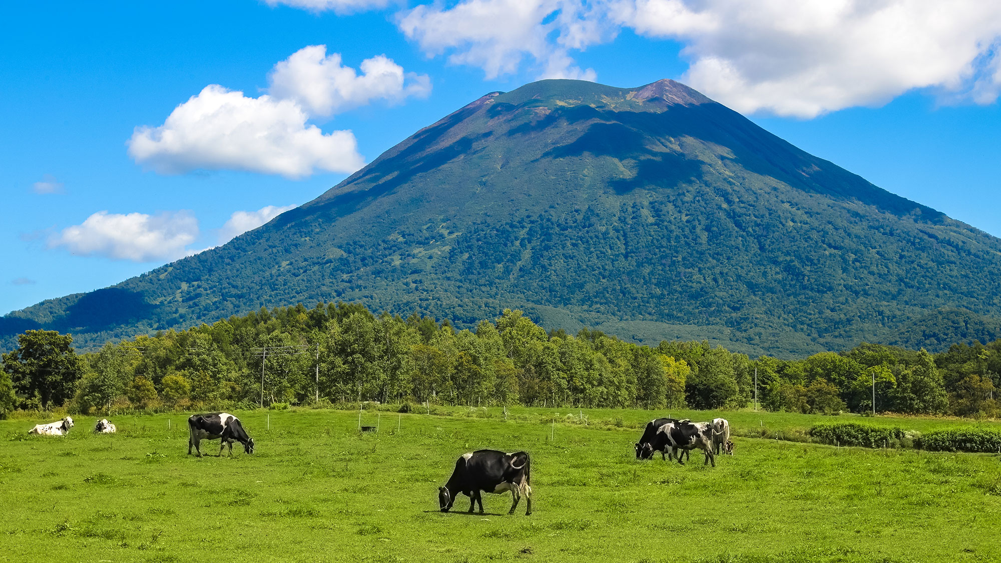 【北海道の西の驚異】洗練された札幌から海岸の絶景、山間の隠れ家まで 7日間