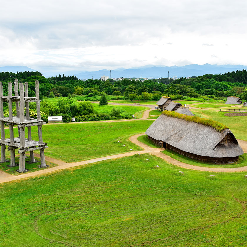 青森空港→<br>市内（自家用車で30分）