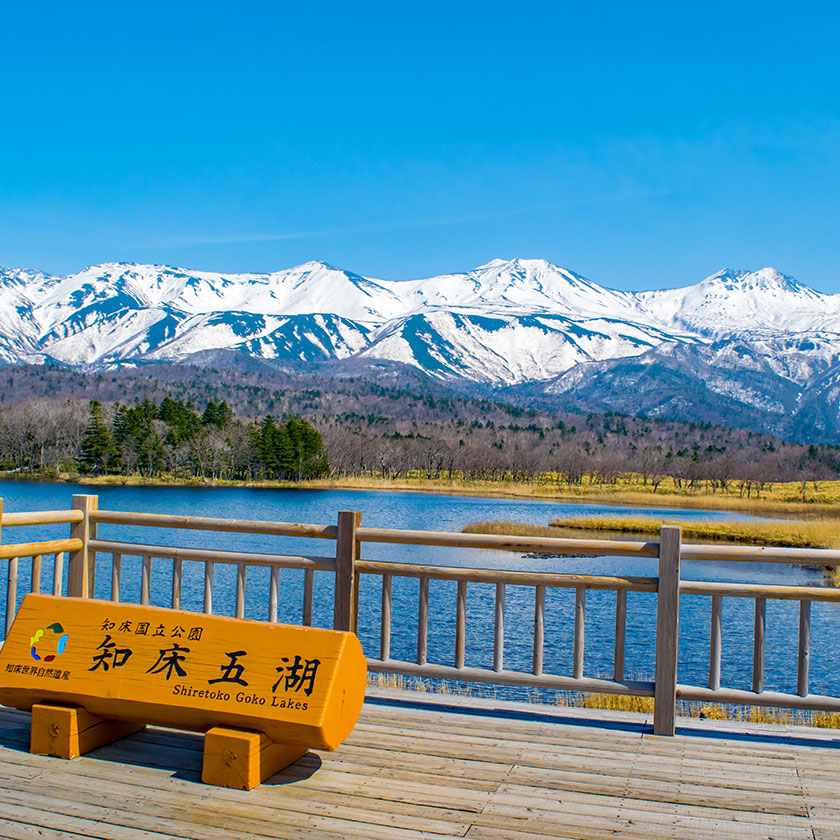 知床ウトロ→<br>知床五湖→<br>ウトロ港→<br>ホテル