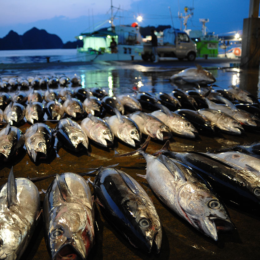 ニ那智勝浦→<br>大阪（約4時間30分）