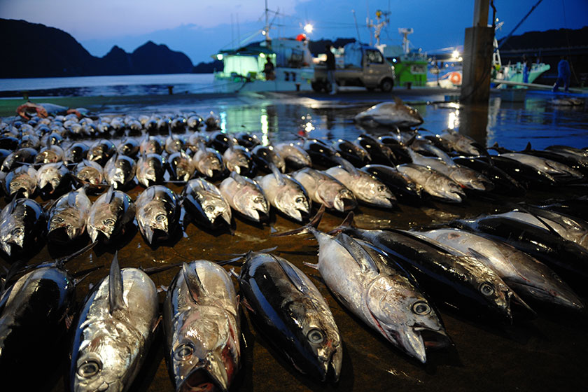 ニ那智勝浦→<br>大阪(約4時間30分)