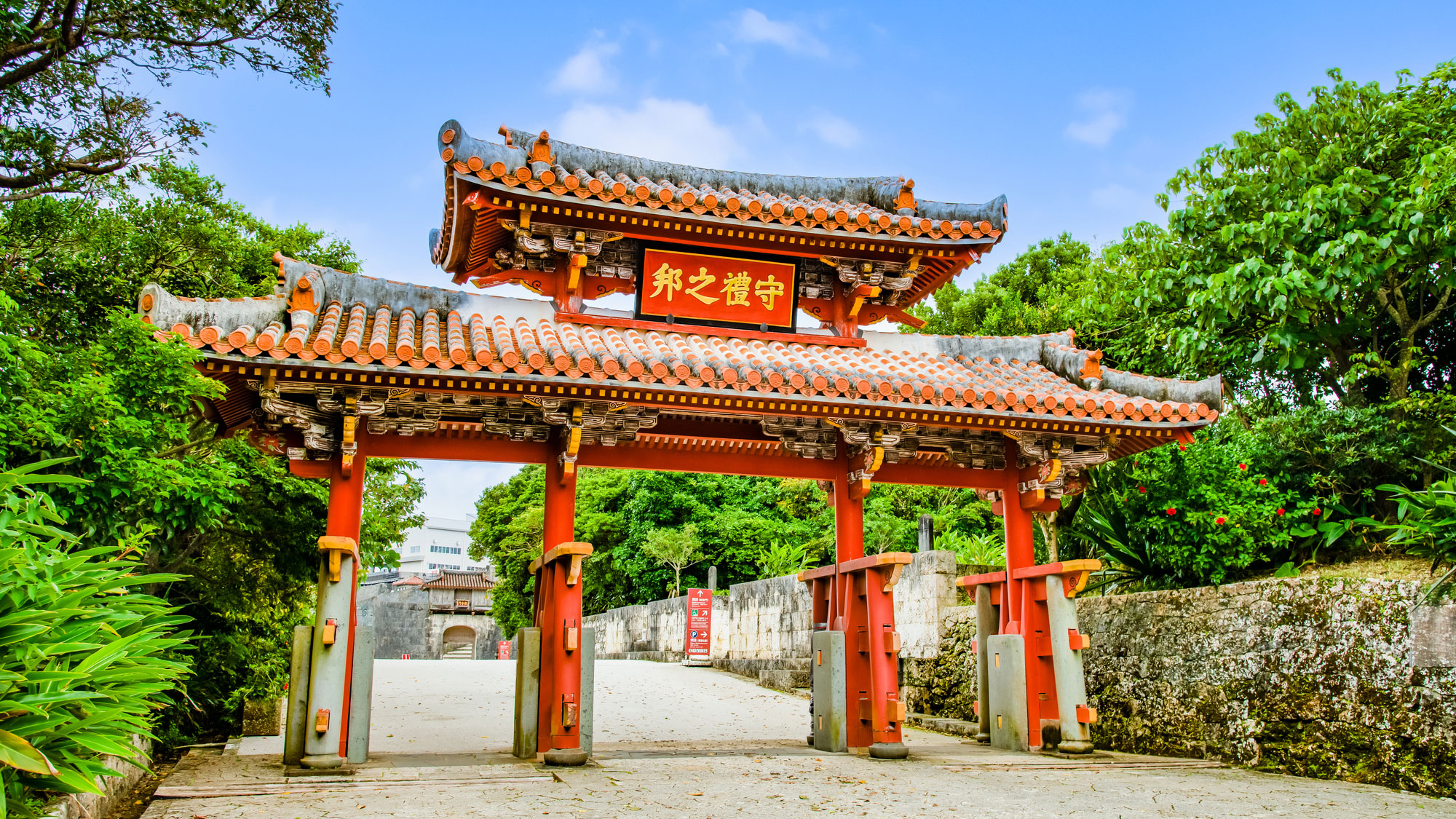 南日本の文化と自然を満喫するリトリート