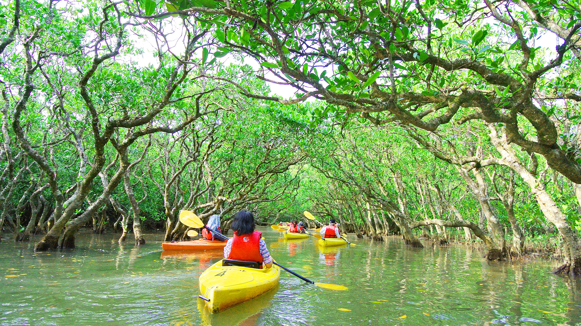 南日本の文化と自然を満喫するリトリート