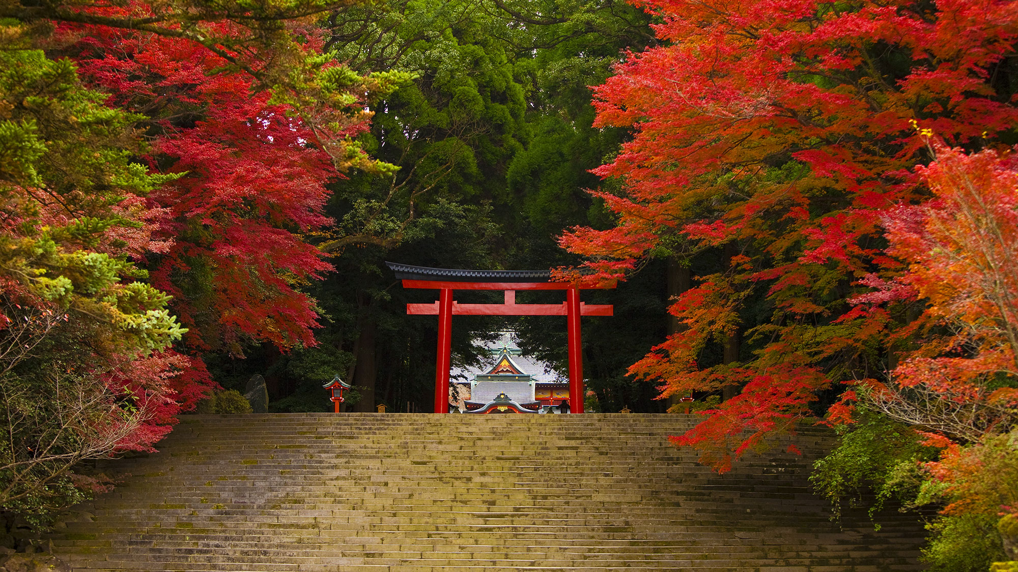 九州を北から南へ横断する7日間プラン