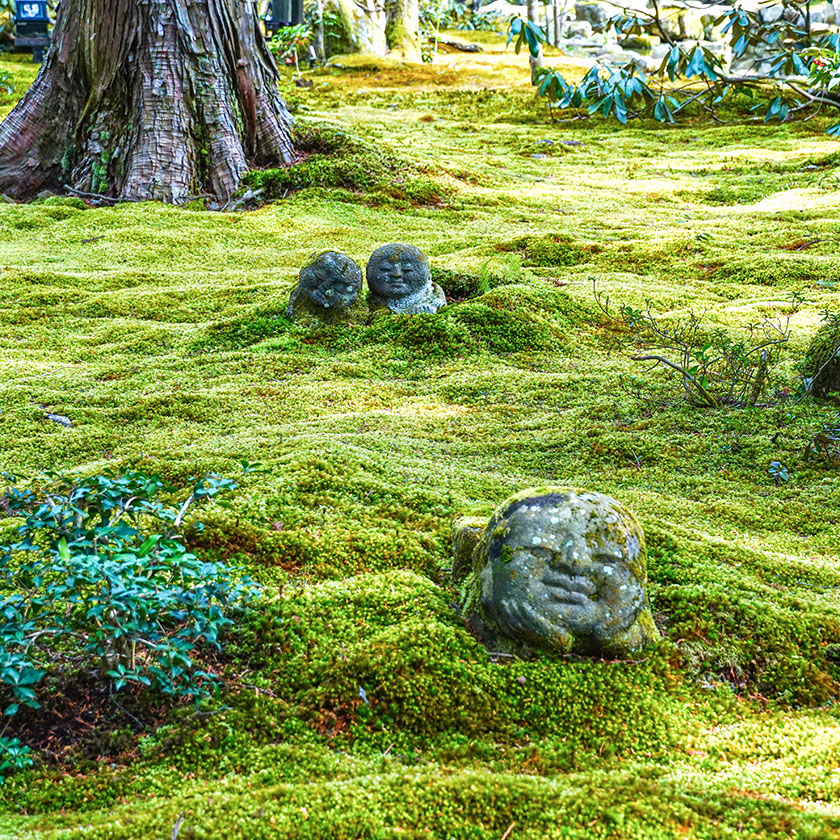 京都→<br>
大原（40分）<br>
大原→<br>
近江八幡（1h）<br>
近江八幡→<br>
長浜（1時間）