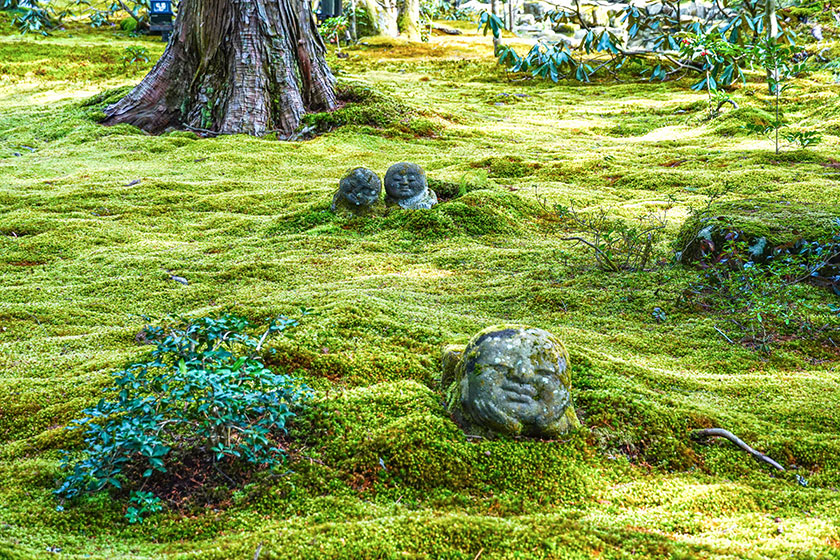 京都→<br>
大原(40分)<br>
大原→<br>
近江八幡(1h)<br>
近江八幡→<br>
長浜(1時間)