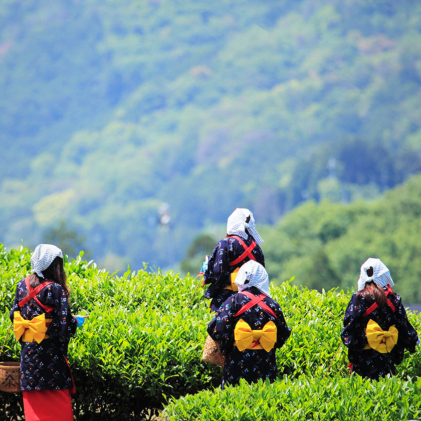 福岡空港 – 八女