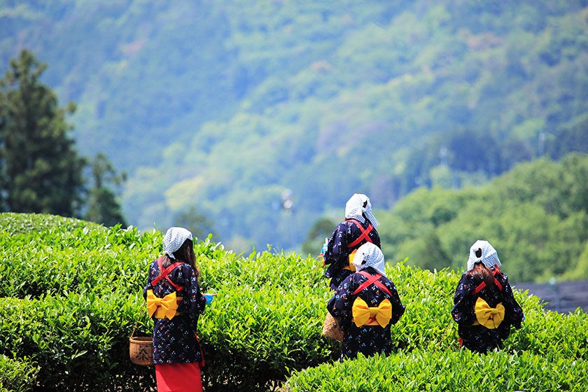 福岡空港 – 八女