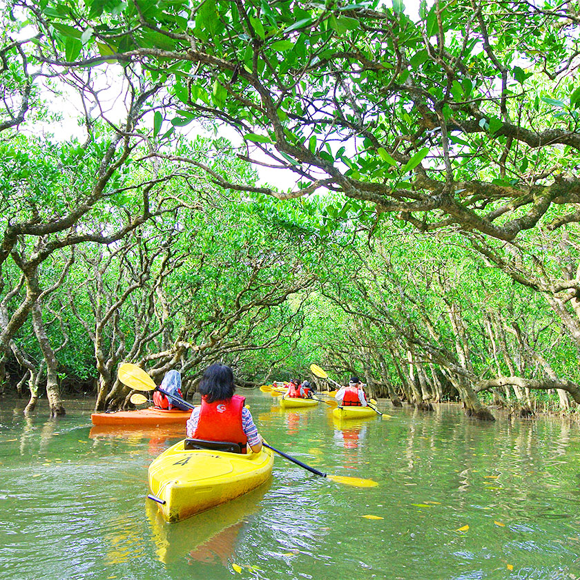 沖縄北部（やんばる）