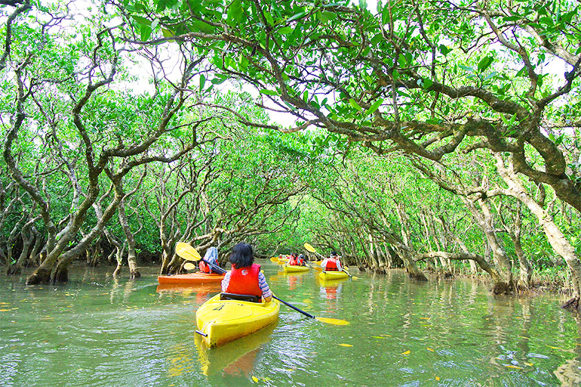 沖縄北部(やんばる)