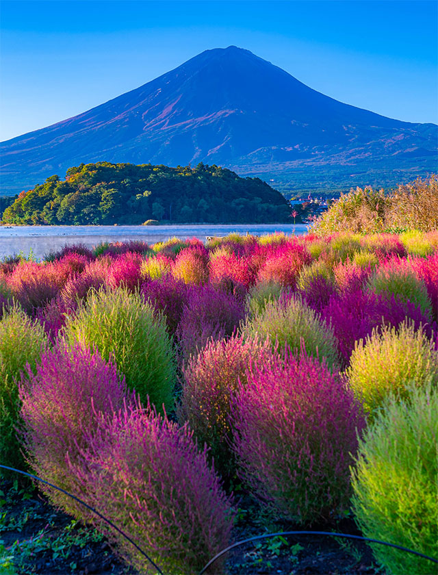【楽しい文化アドベンチャー】家族で楽しむ日本発見9日間