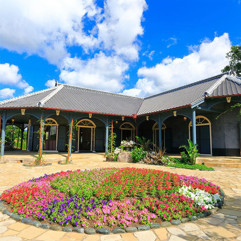 阿蘇 →<br>
長崎