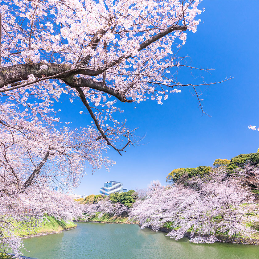 【10月～6月】<br>
鶴岡