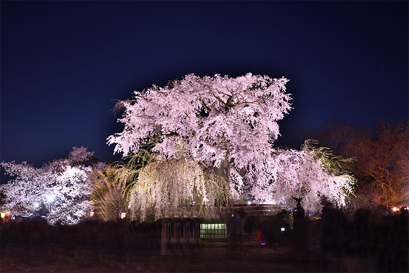 金沢 →<br>
京都