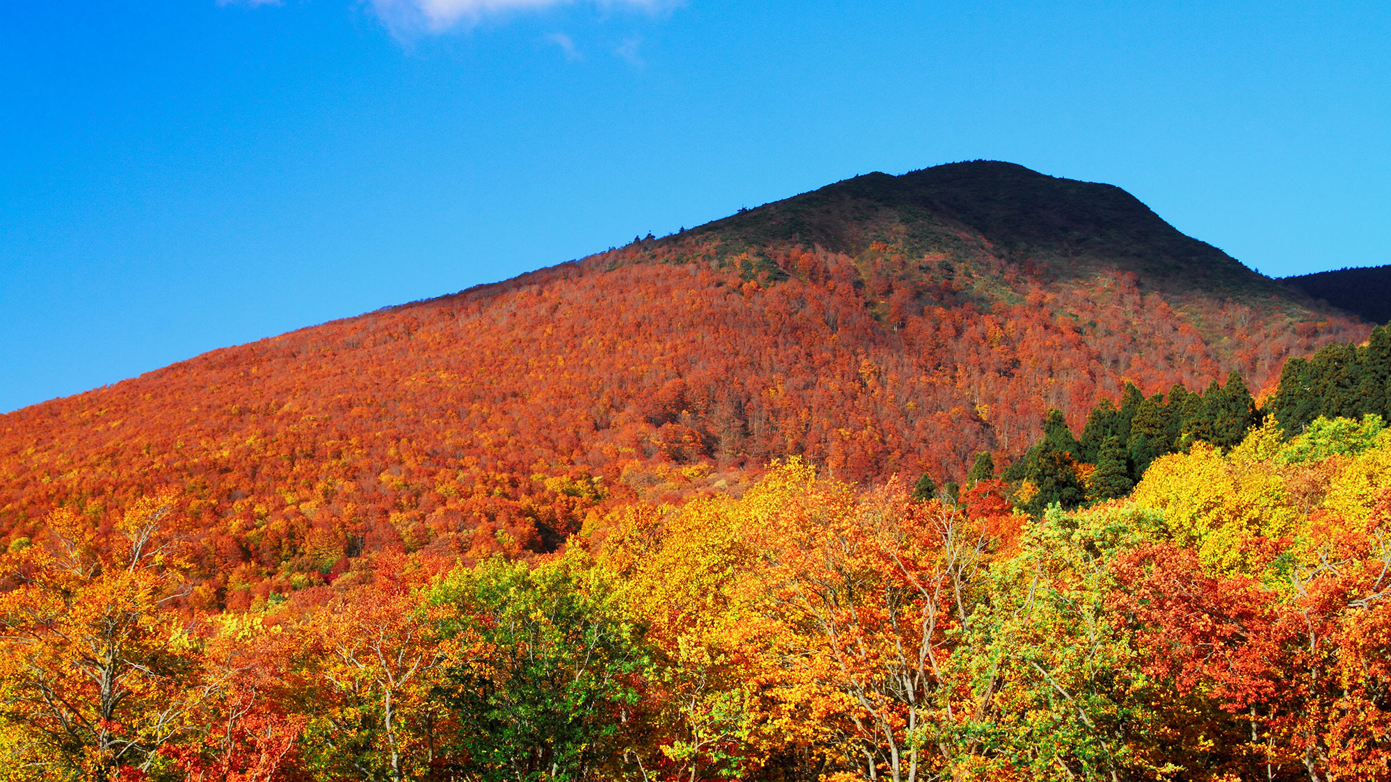 【聖なる北の響き】南東北の聖地を巡る文化と精神の旅