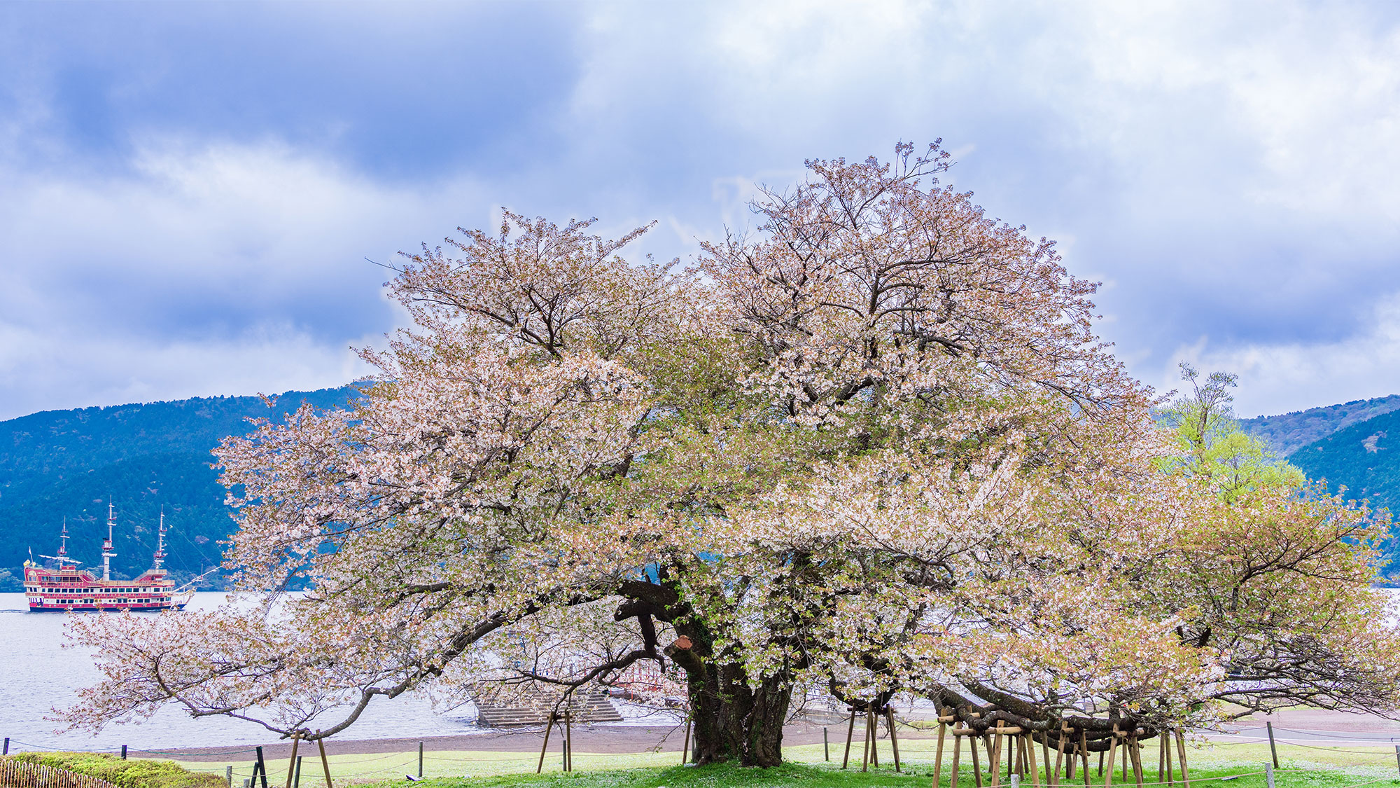 春の桜の旅 – 都会の向こう側、日本の魅力を発見（13日間）