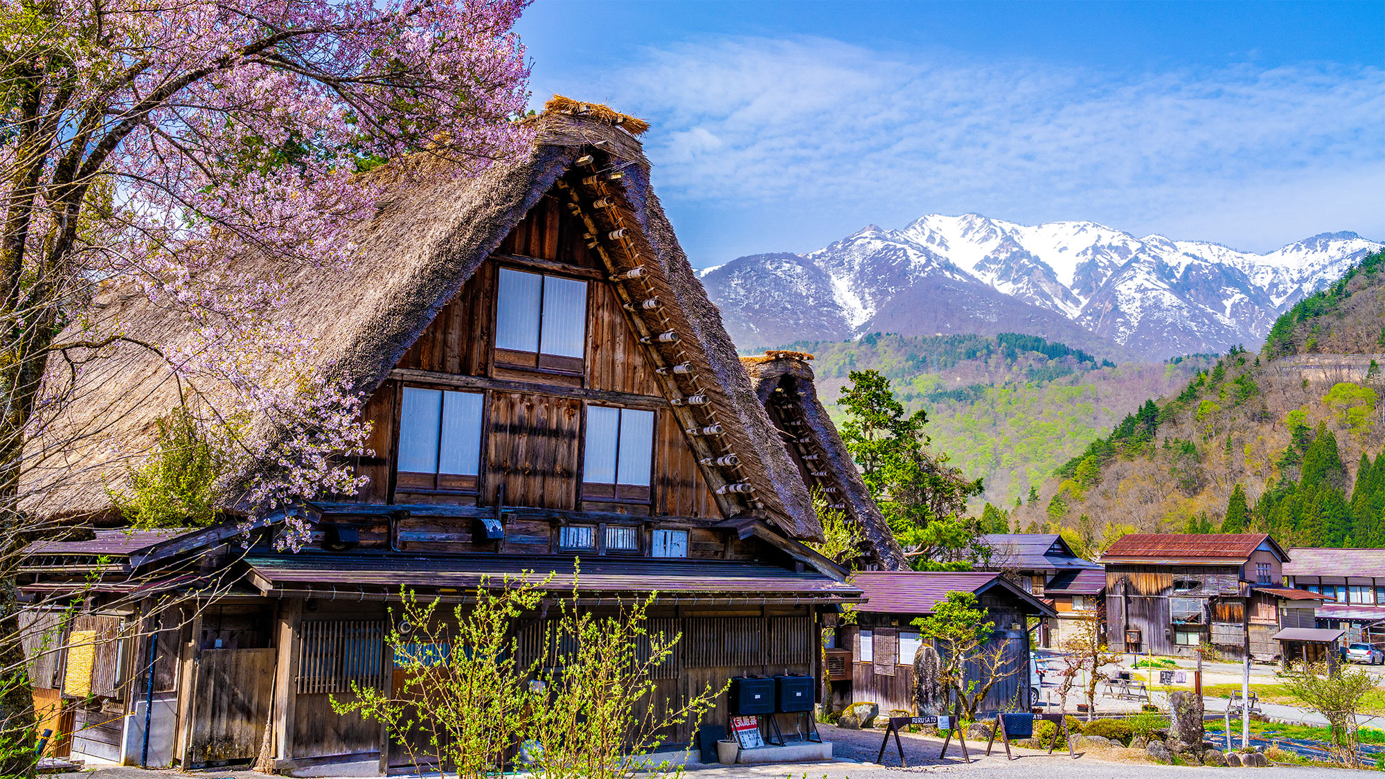 春の桜の旅 – 都会の向こう側、日本の魅力を発見（13日間）