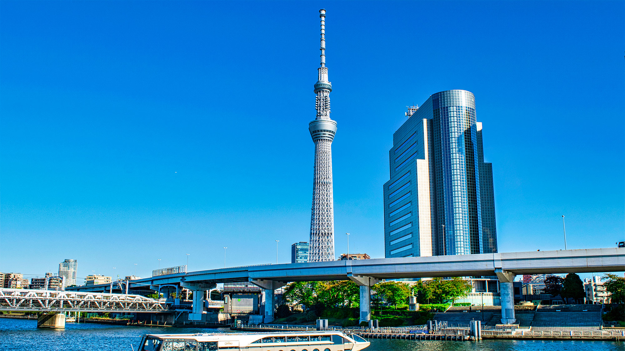 【楽しい文化アドベンチャー】家族で楽しむ日本発見9日間