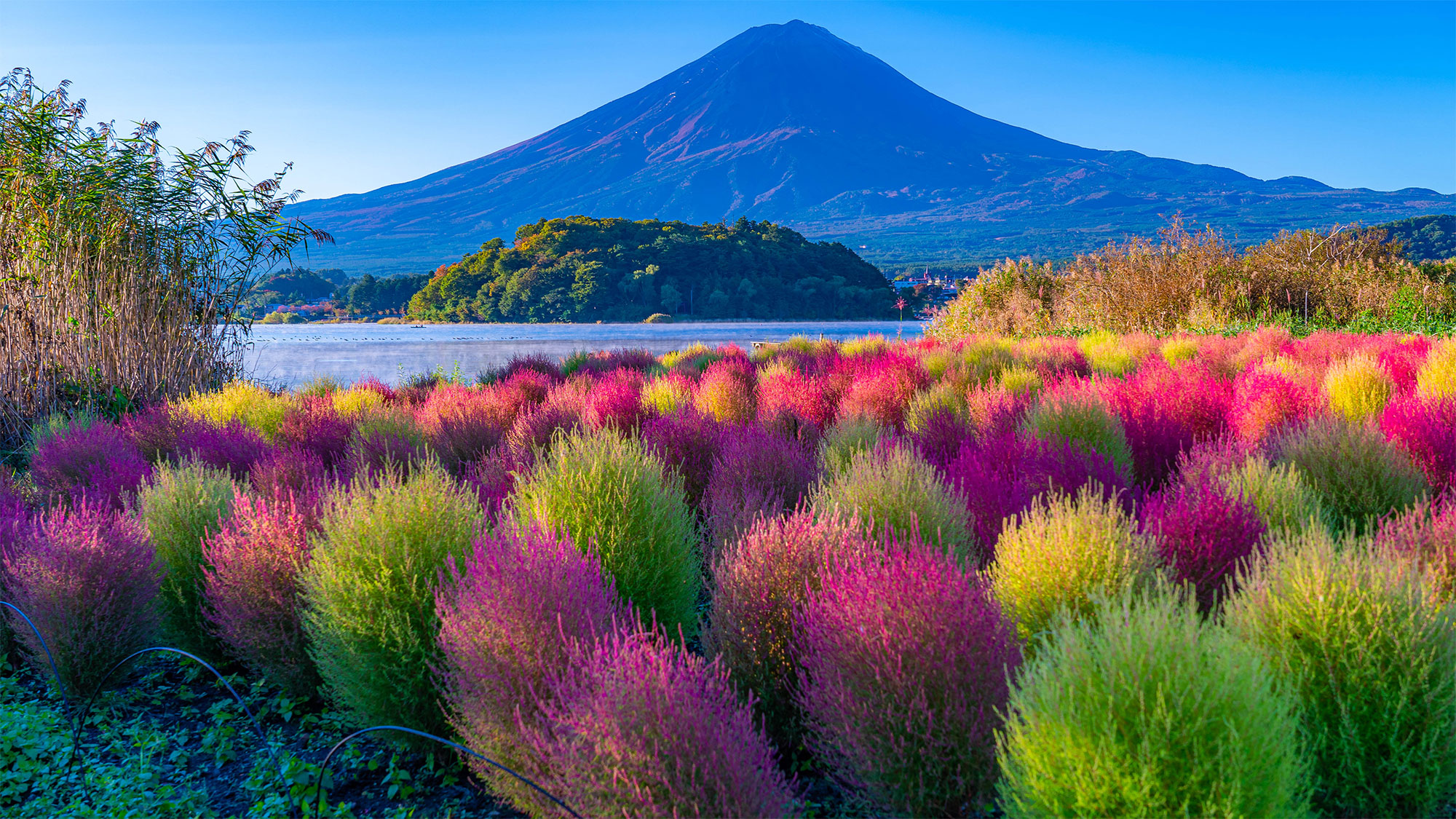 【楽しい文化アドベンチャー】家族で楽しむ日本発見9日間