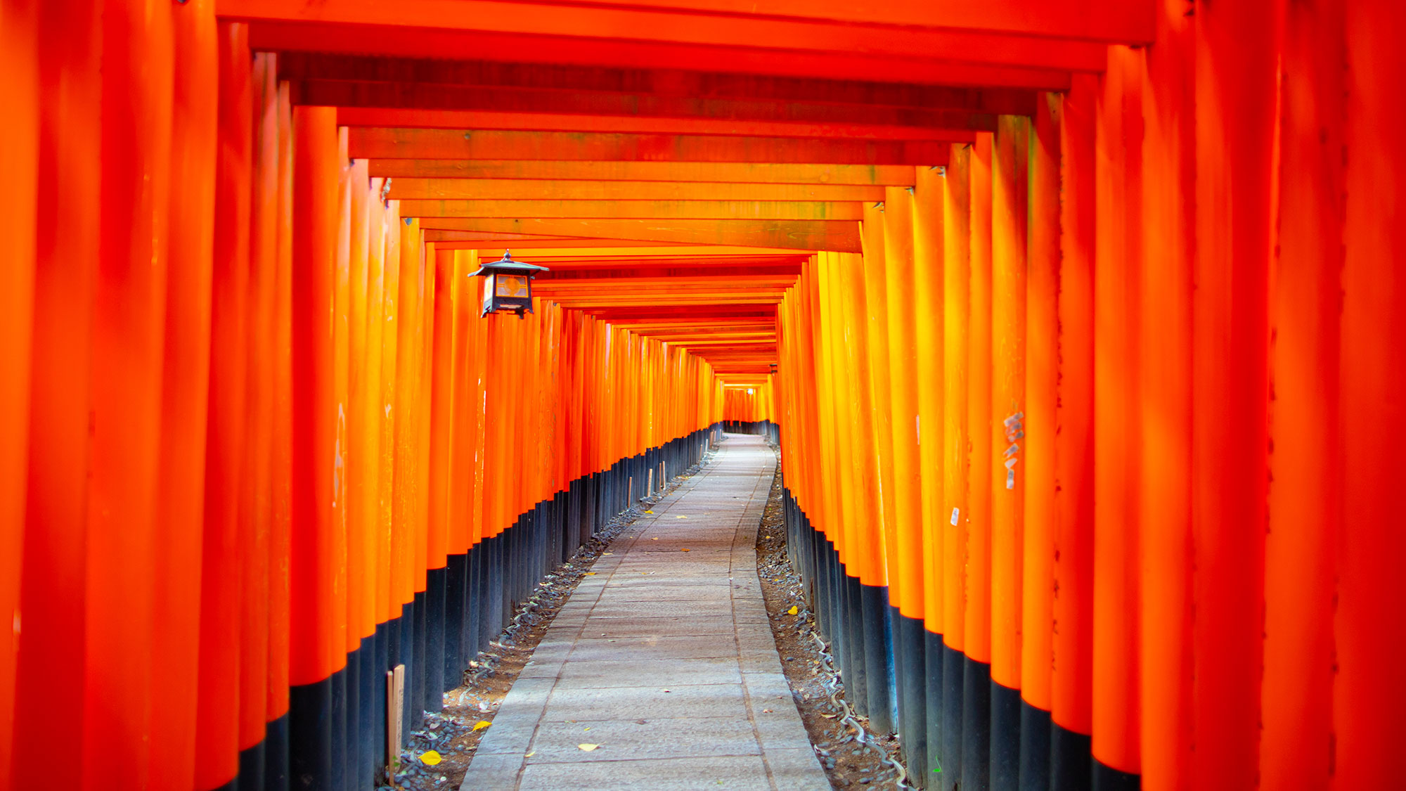 【楽しい文化アドベンチャー】家族で楽しむ日本発見9日間