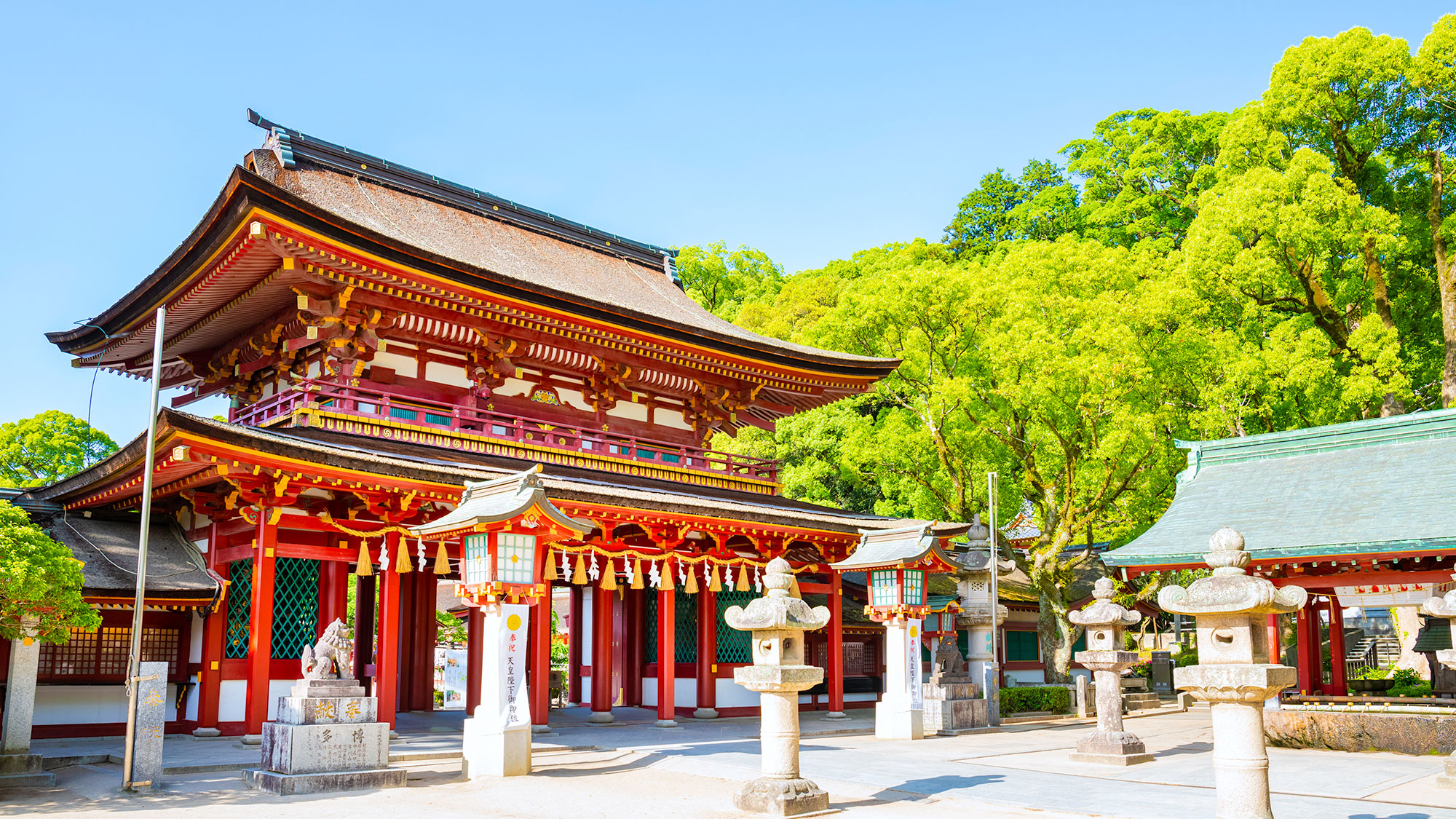 九州ファミリープラン – 7日間