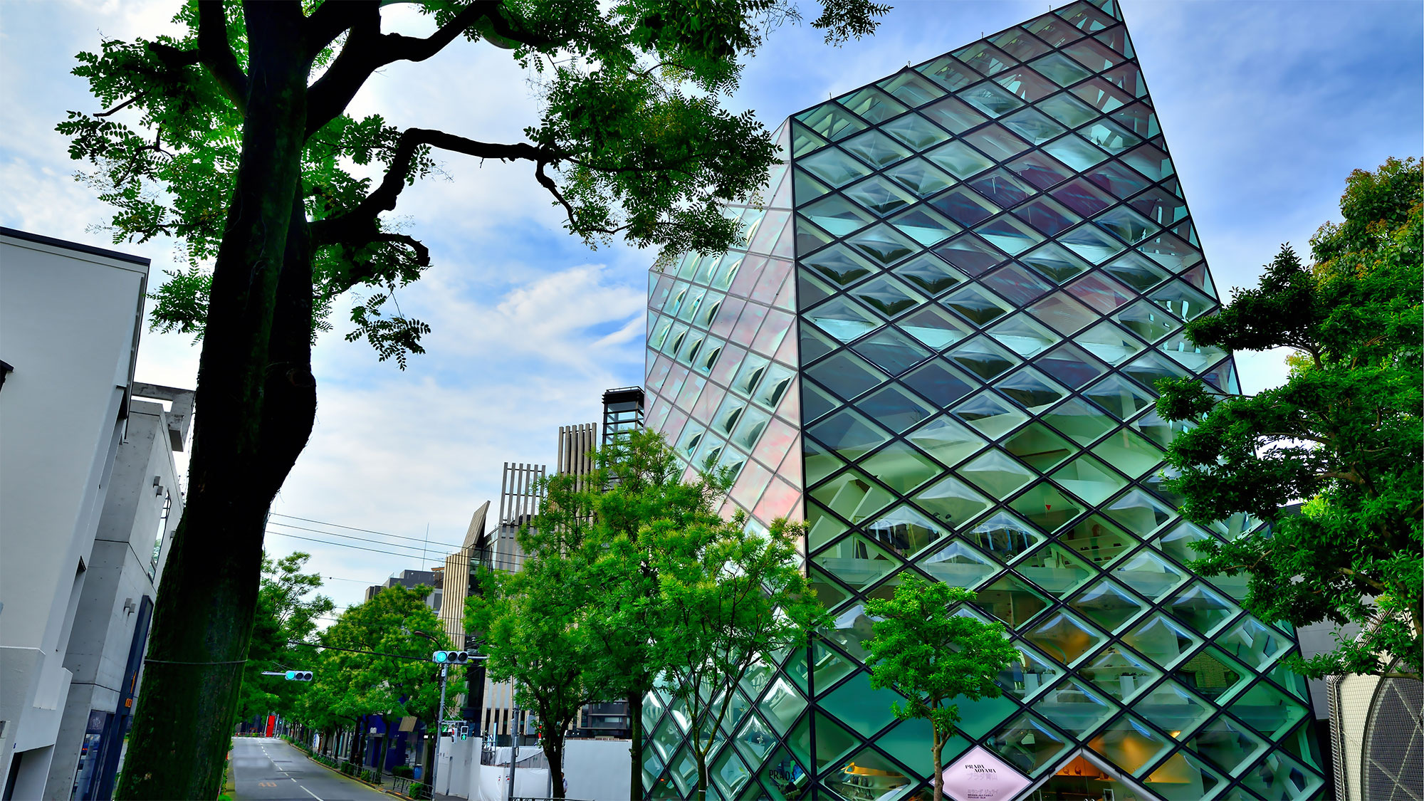 【日本の調和】 庭園・建築・芸術：繊細な空間、時代を超えた美しさ、生き続ける伝統