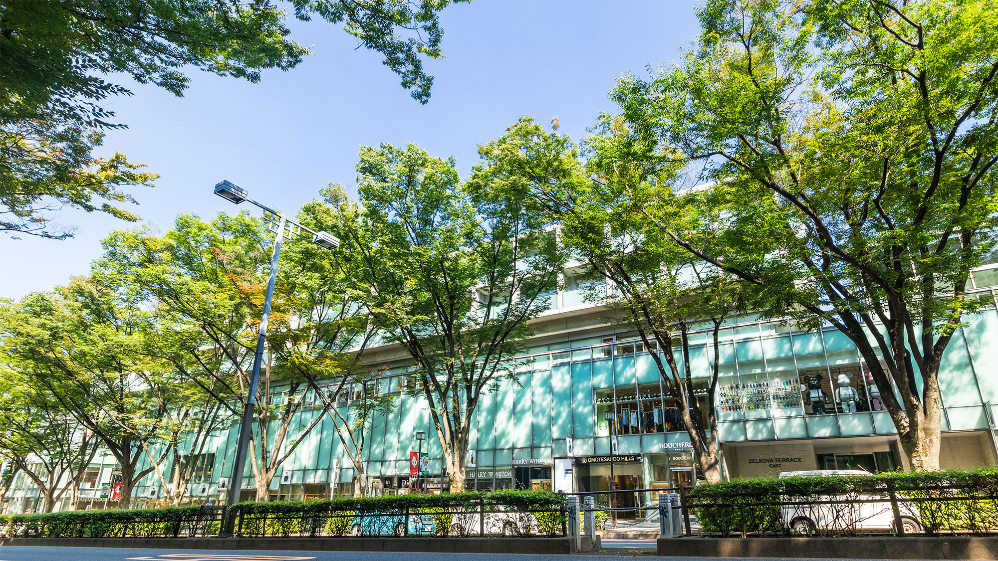 【日本の調和】 庭園・建築・芸術：繊細な空間、時代を超えた美しさ、生き続ける伝統