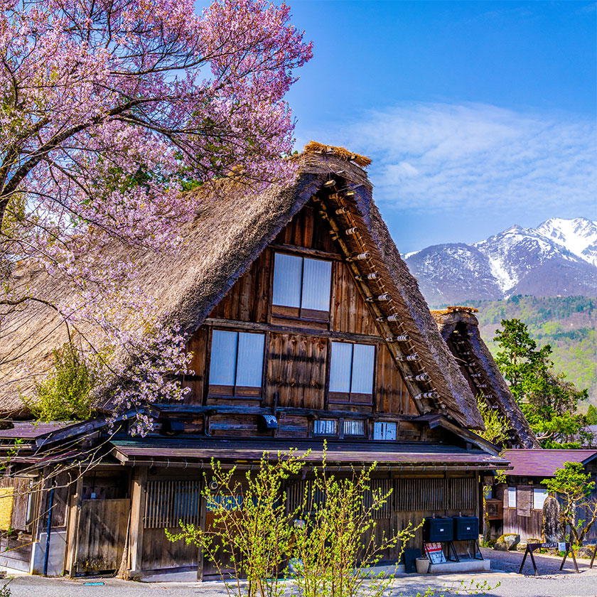 五箇山～<br>
白川郷への遠足